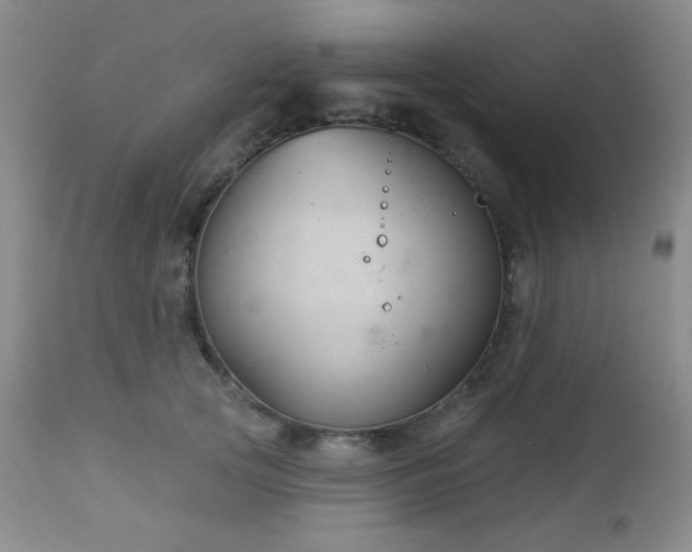 X0000112960753200908271116