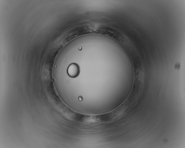 X0000112960754200908271116