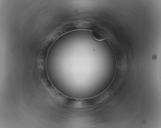 X0000112960755200908271116