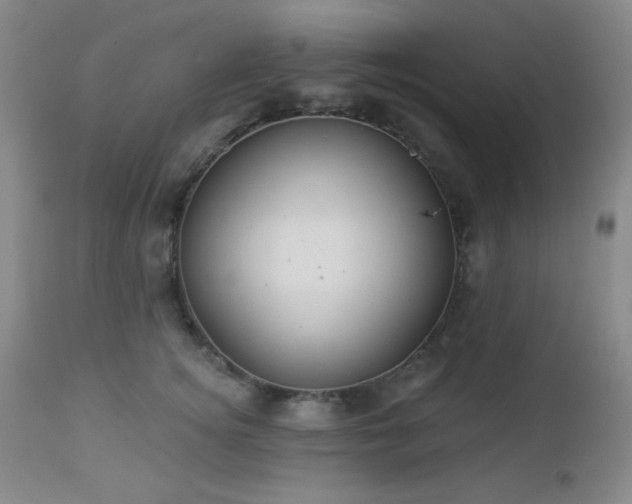 X0000112960756200908271116