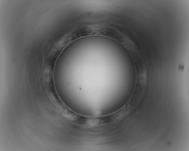 X0000112960757200908271116