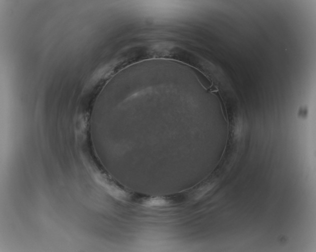 X0000112960759200908271116