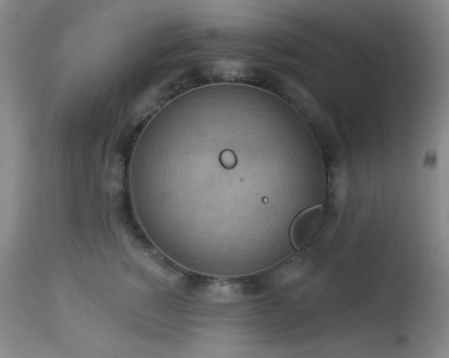 X0000112960760200908271116