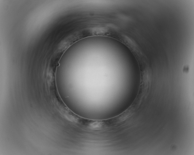 X0000112960761200908271116