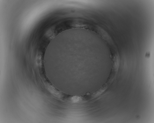 X0000112960762200908271116