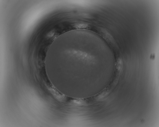 X0000112960763200908271116