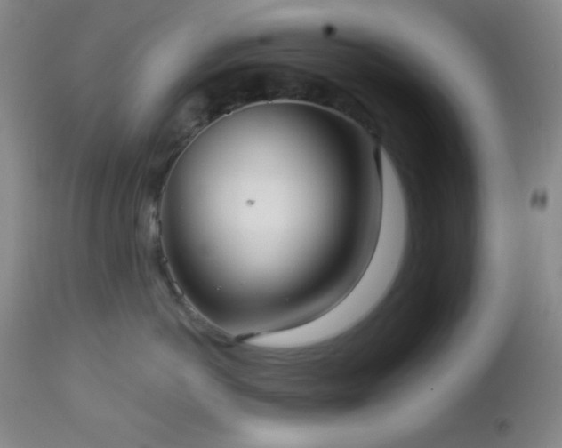 X0000112960766200908271116