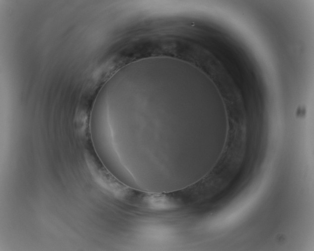 X0000112960767200908271116