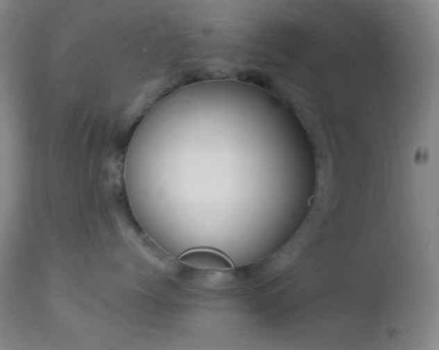 X0000112960768200908271116