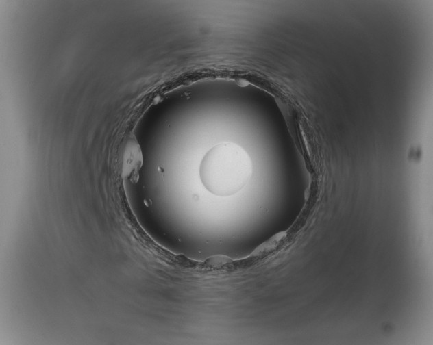 X0000112960769200908271116