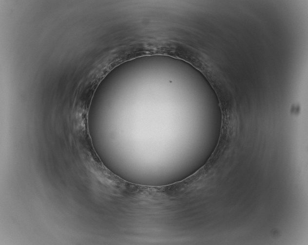 X0000112960770200908271115