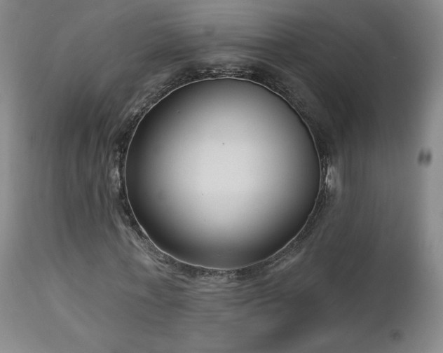 X0000112960771200908271115