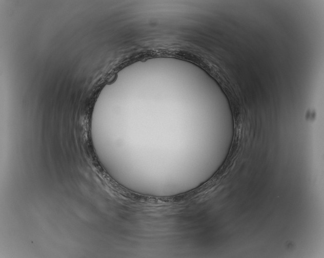 X0000112960772200908271115