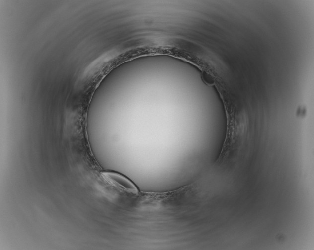 X0000112960773200908271115