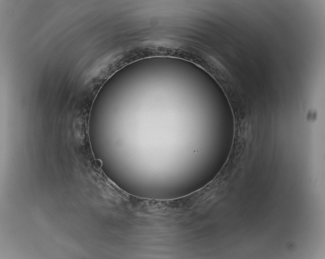 X0000112960774200908271115