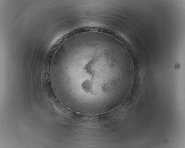 X0000112960775200908271115