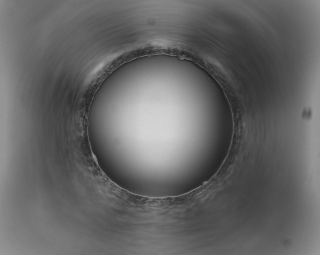 X0000112960776200908271115