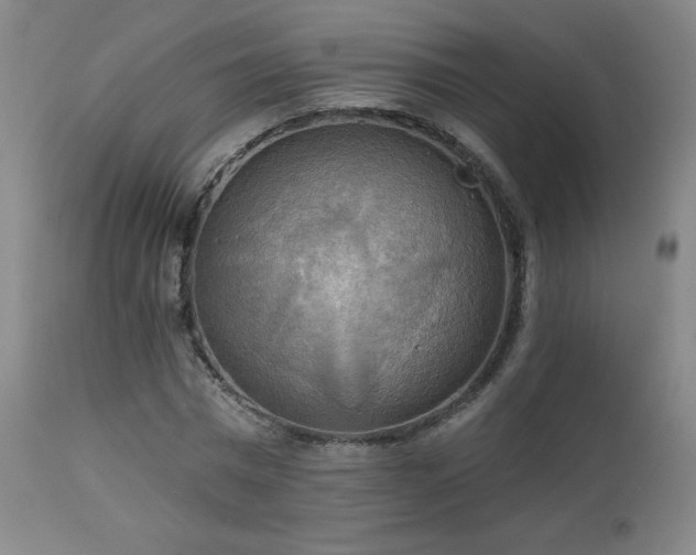 X0000112960777200908271115