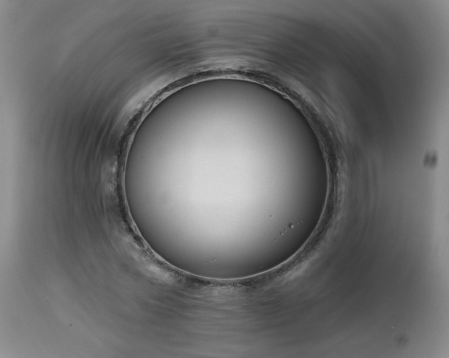 X0000112960778200908271115