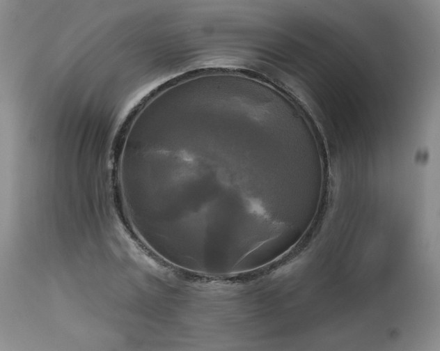 X0000112960779200908271115