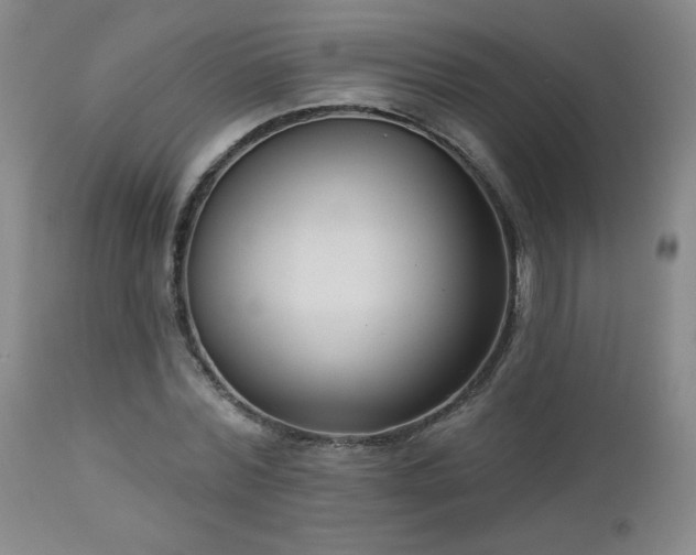 X0000112960780200908271115