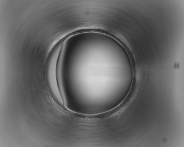 X0000112960781200908271115