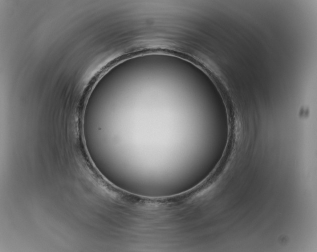 X0000112960782200908271115