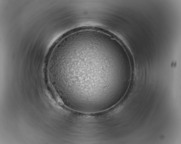 X0000112960783200908271115