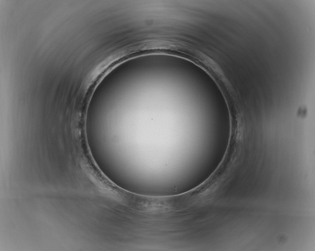 X0000112960786200908271115