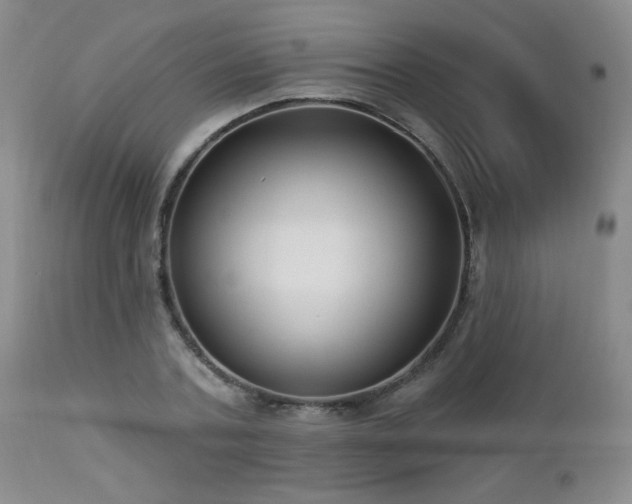 X0000112960787200908271115