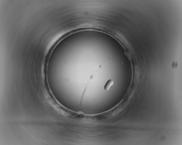 X0000112960788200908271115