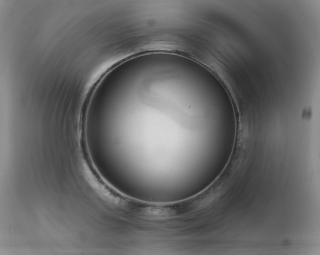 X0000112960795200908271115