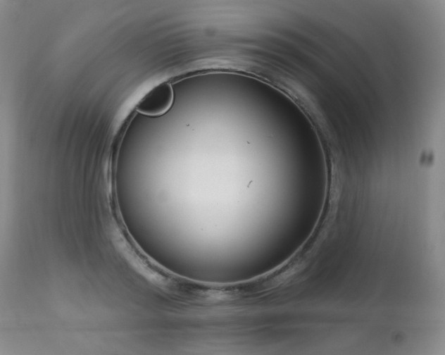 X0000112960796200908271115