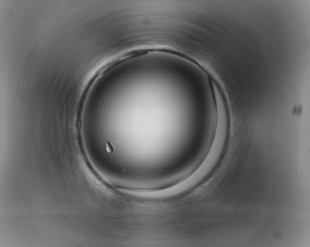 X0000112960797200908271115