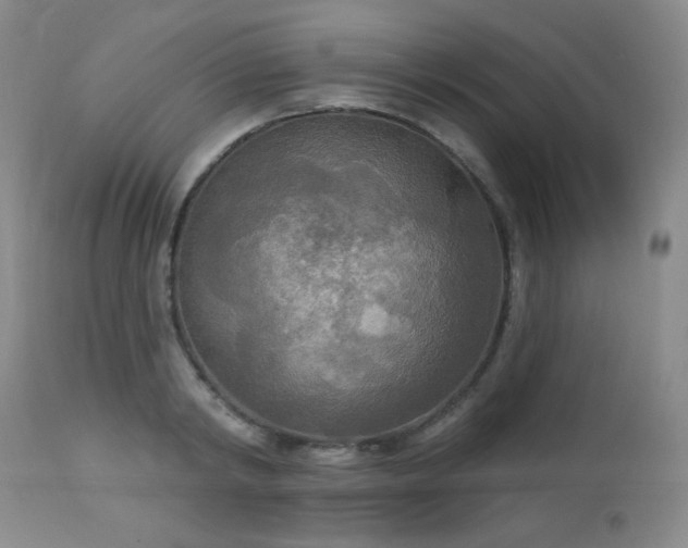 X0000112960798200908271115