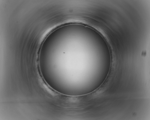 X0000112960799200908271115