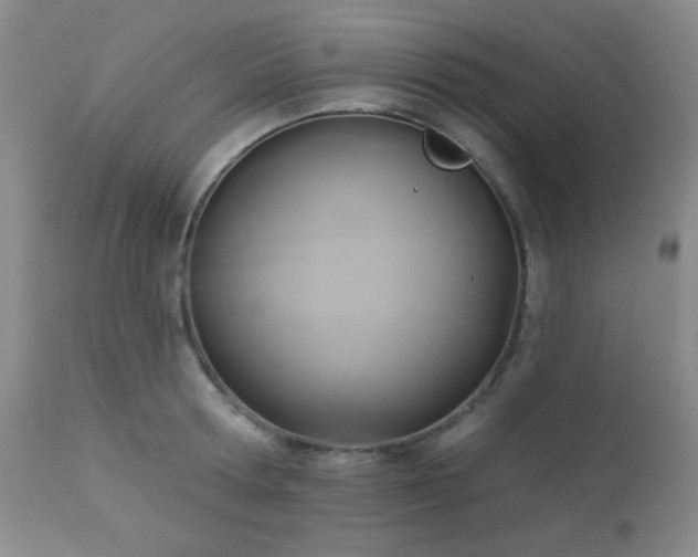 X0000112960802200908271115