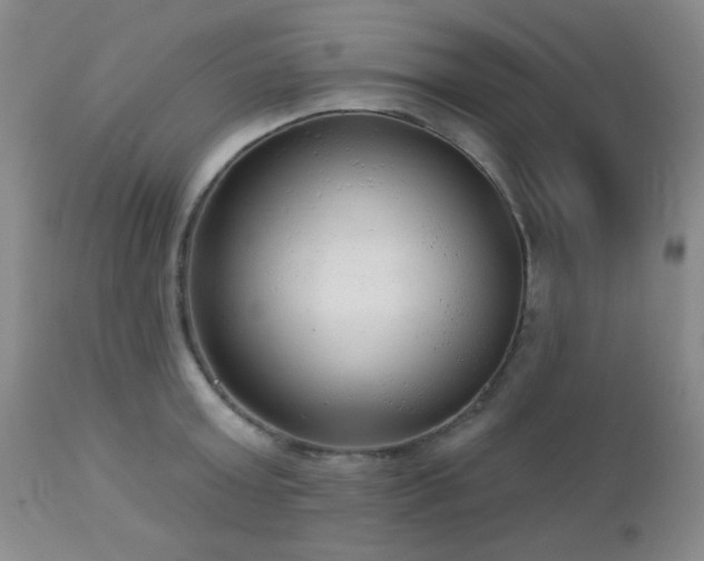 X0000112960803200908271115