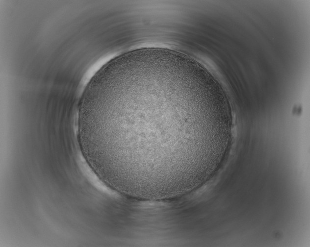 X0000112960804200908271115