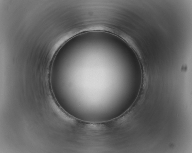 X0000112960805200908271115