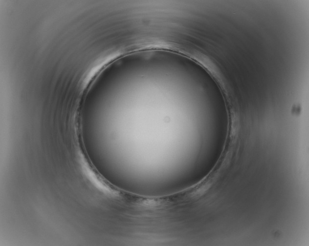 X0000112960806200908271115