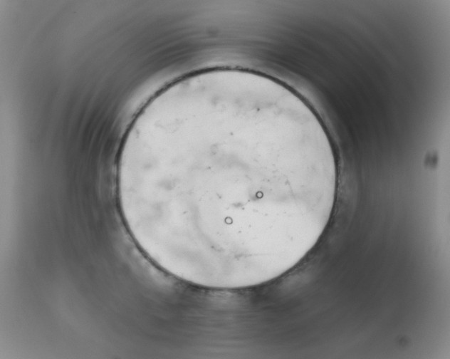 X0000112960807200908271115