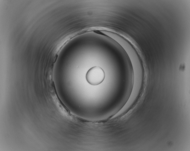 X0000112960809200908271115