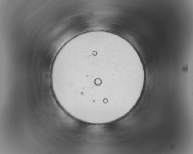 X0000112960810200908271115