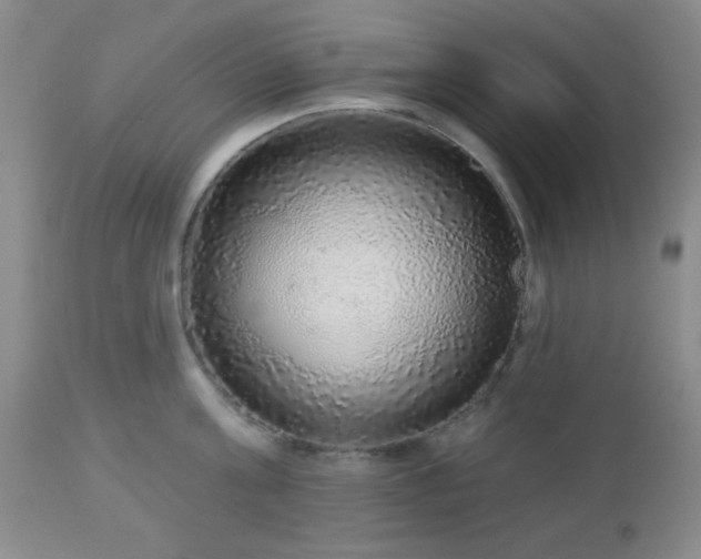 X0000112960811200908271115