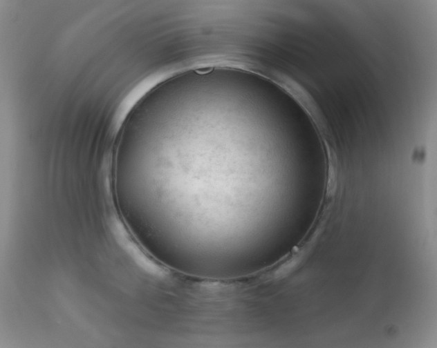 X0000112960812200908271115