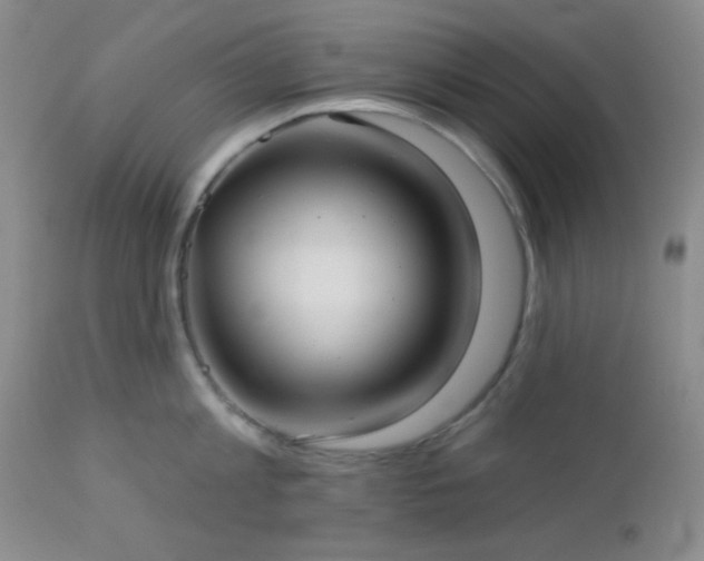 X0000112960813200908271115