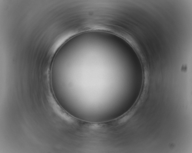 X0000112960814200908271115