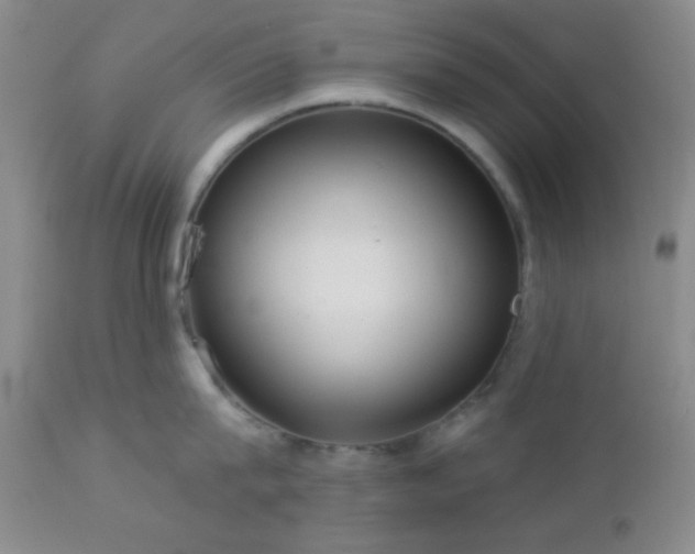 X0000112960815200908271115