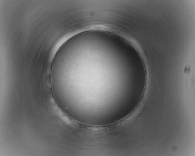 X0000112960816200908271115